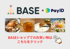 からだ想いのヤーコン茶IZA