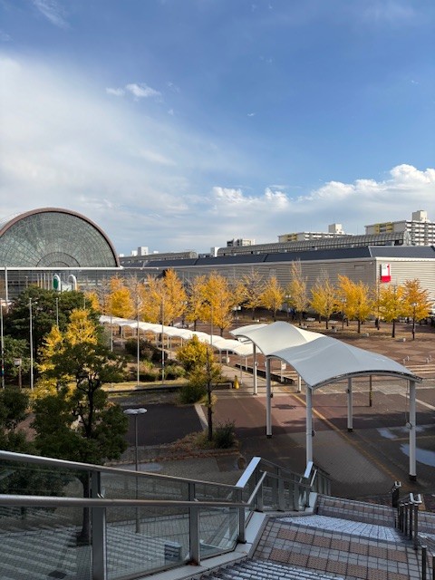 IMG_2537 IMG_2537-e1764828576117